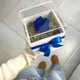Box San Valentino - Blue