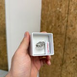 Anello mod Chanel